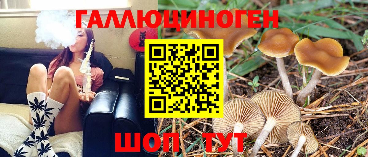 Галлюциногенные грибы Cubensis Биробиджан