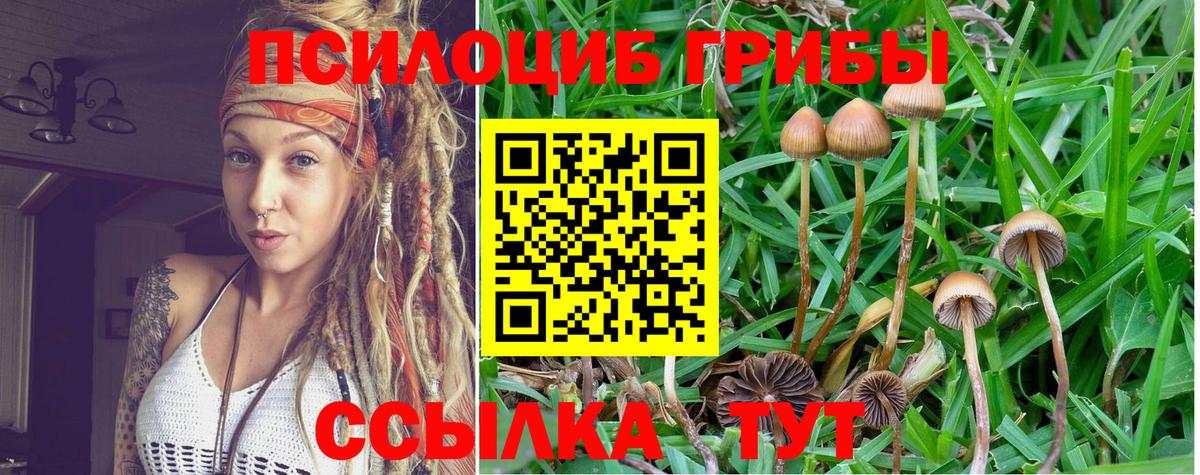 Биробиджан  Галлюциногенные грибы ЛСД  Вход с VPN 